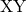 \text{XY}