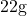 22\space\text{g}