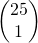 \begin{pmatrix} 25 \\ 1  \end{pmatrix}