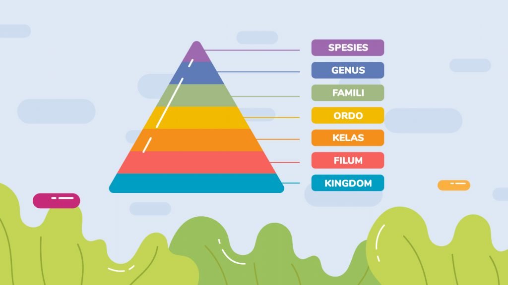 Binomial Nomenklatur memudahkan kita dalam memberi nama makhluk hidup
