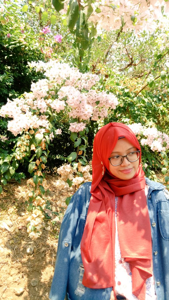 Dina Mutiara